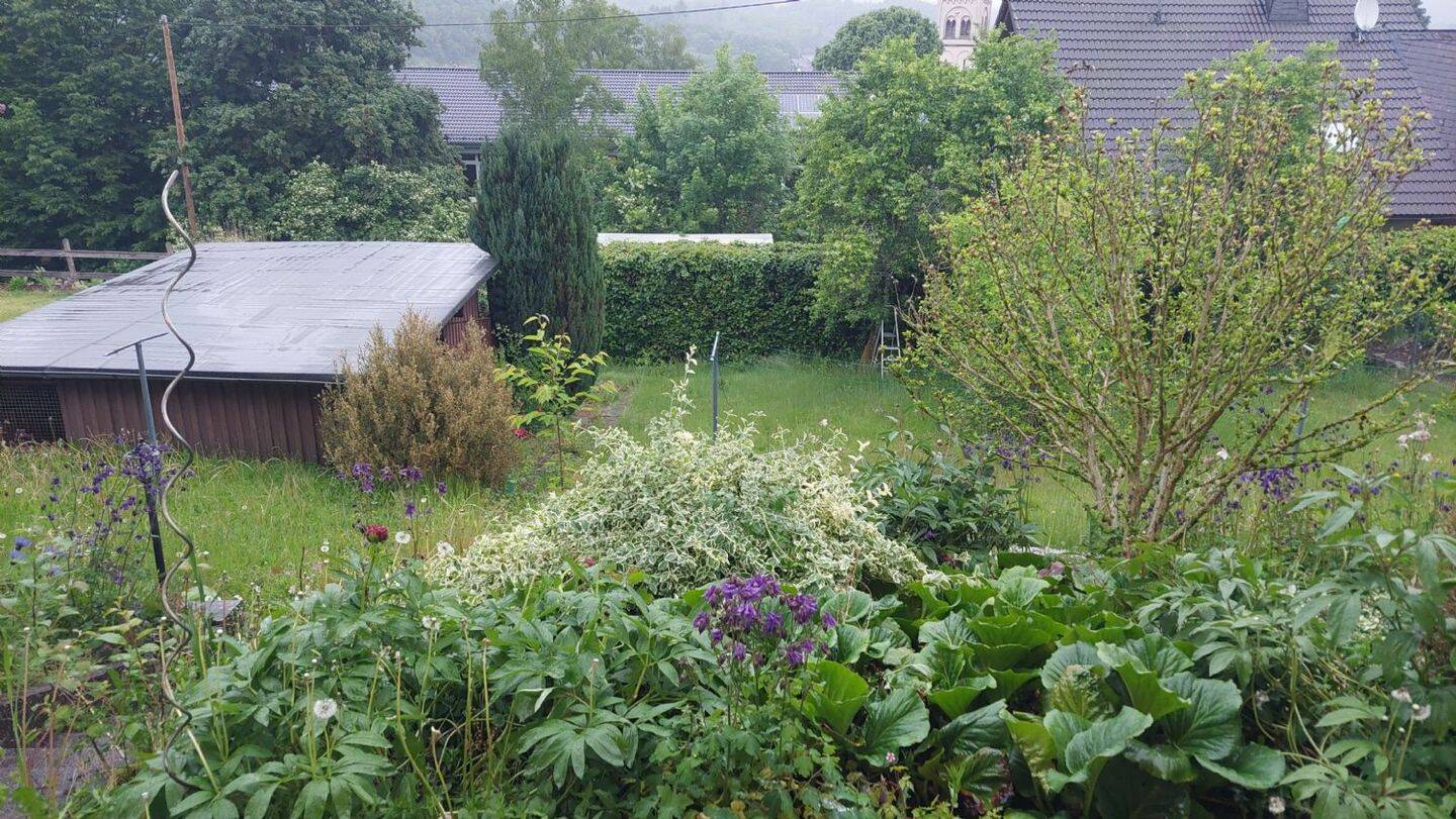Bild 19