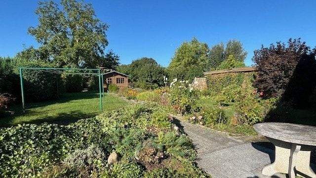 Bild 6