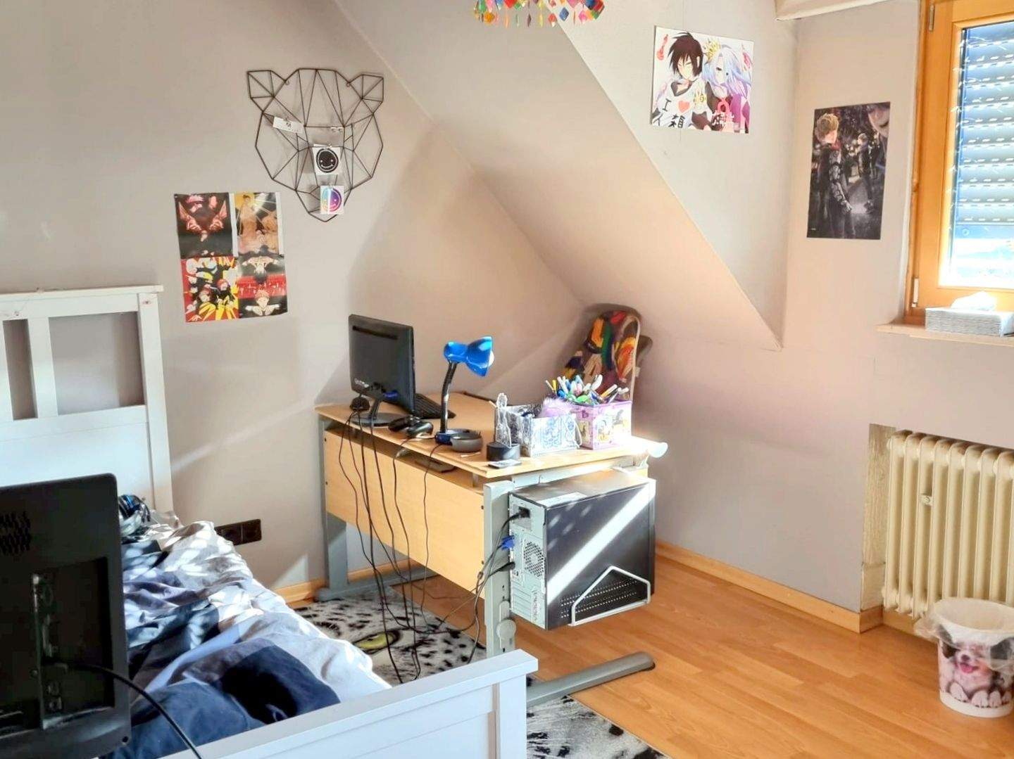 Bild 11