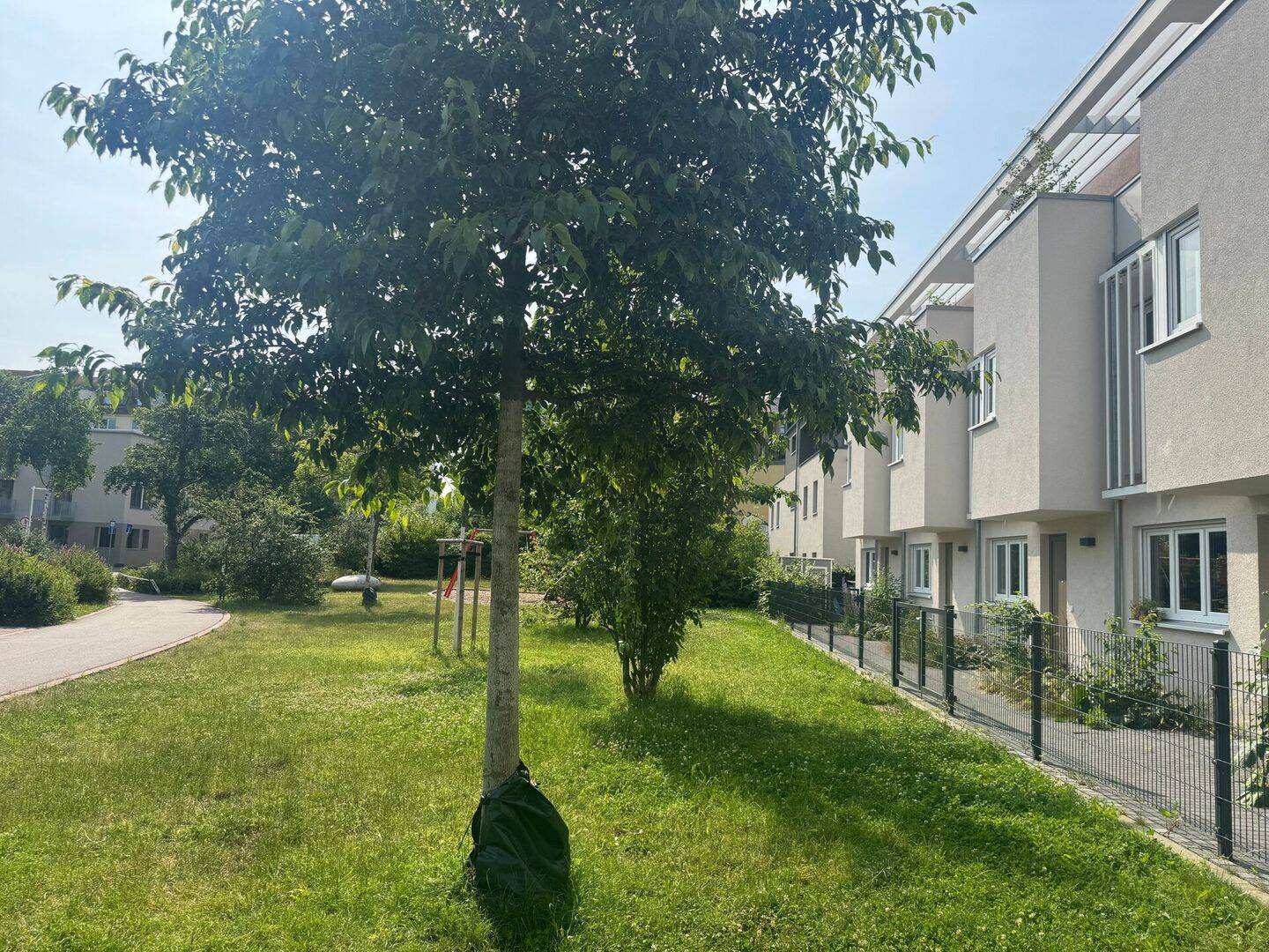 Bild 12