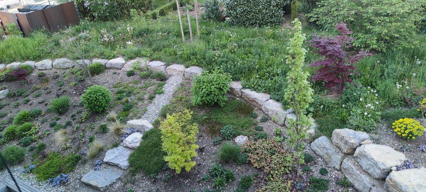 Bild 6