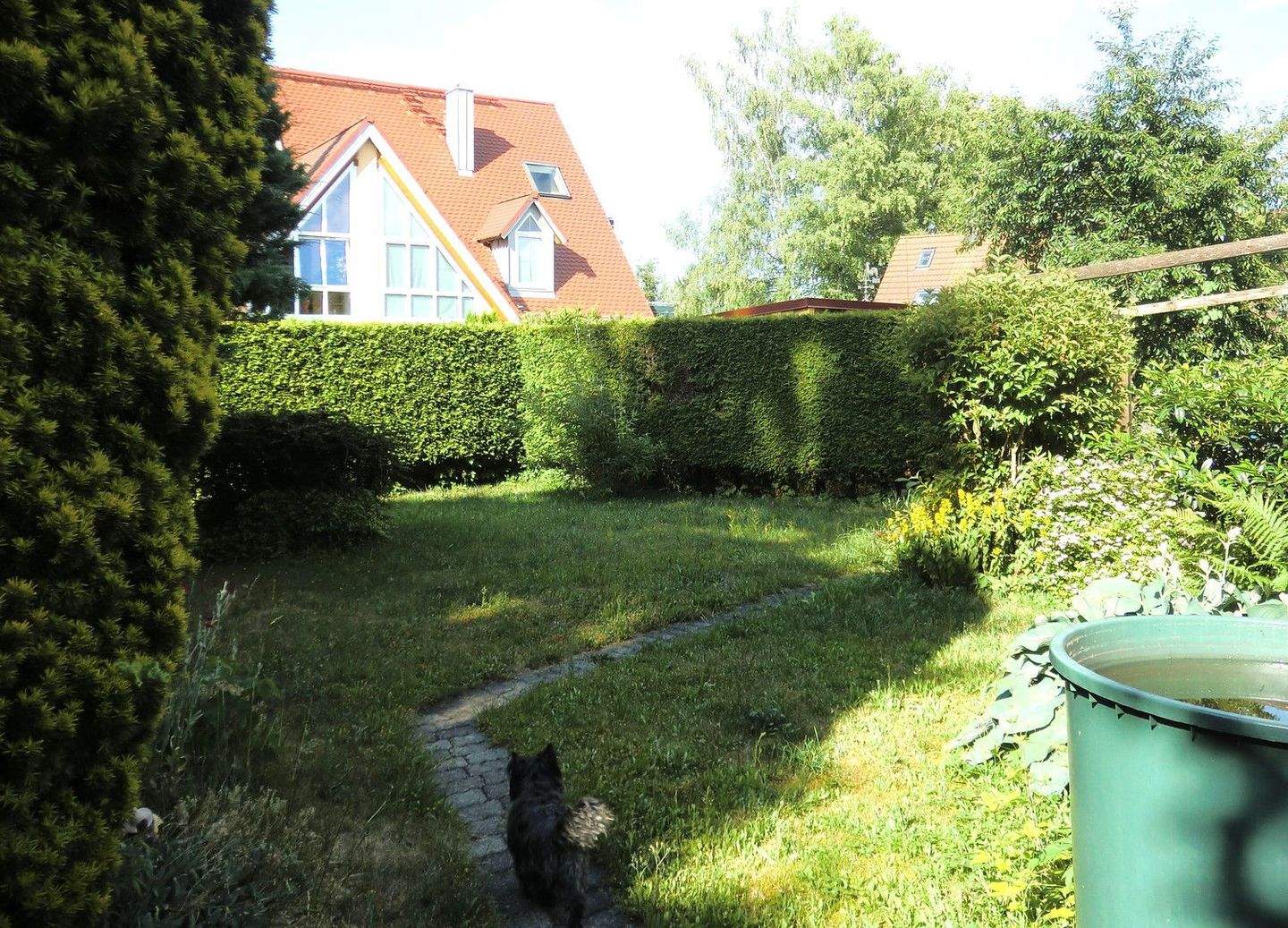Bild 6