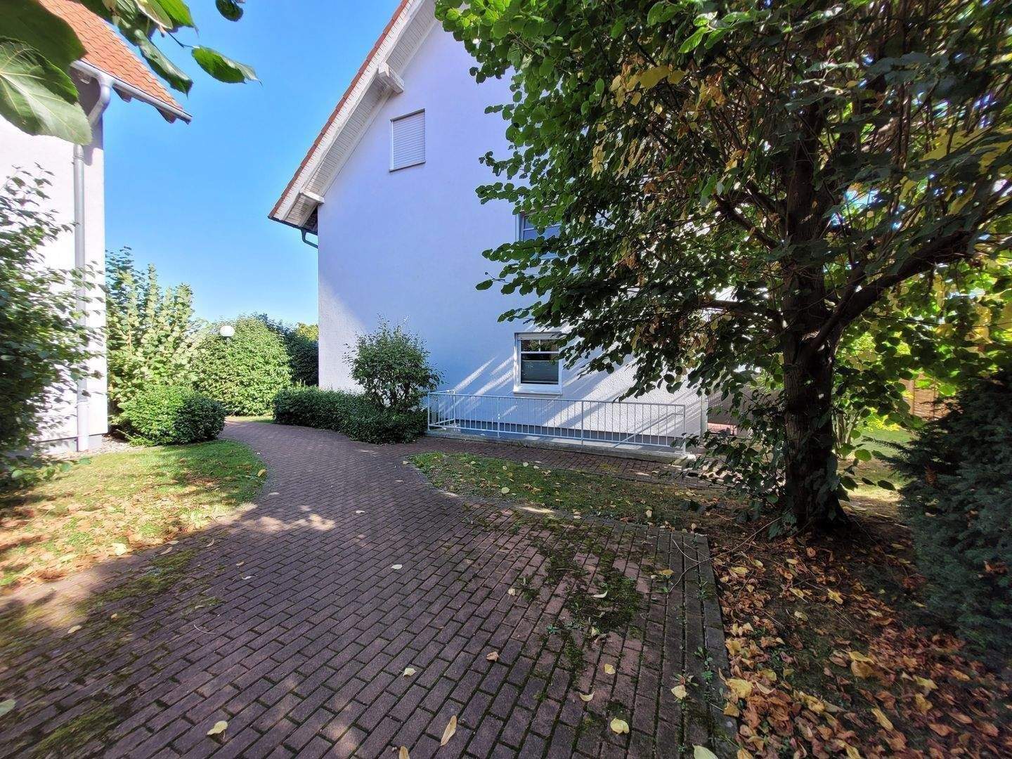 Bild 7