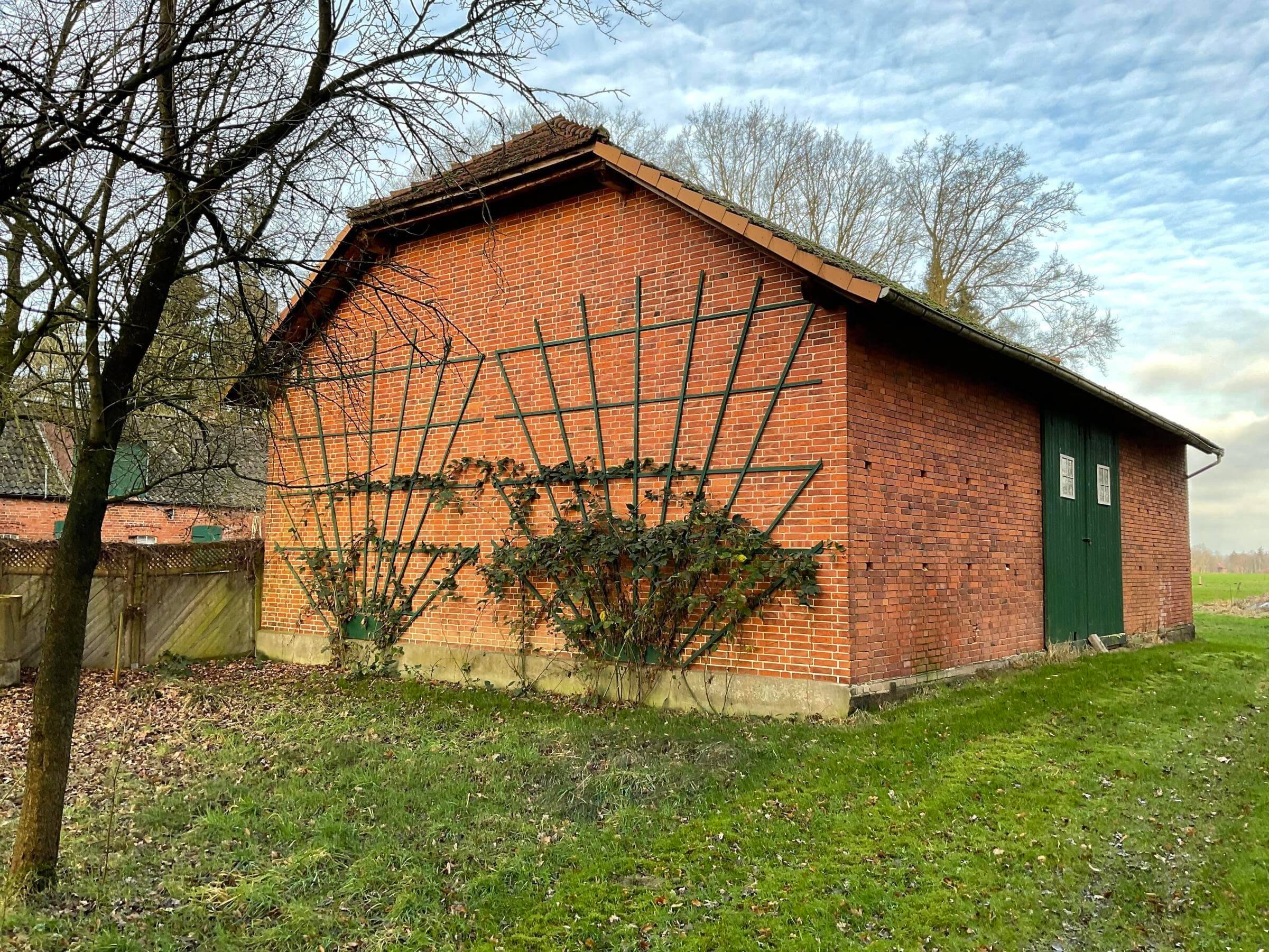 Bild 11
