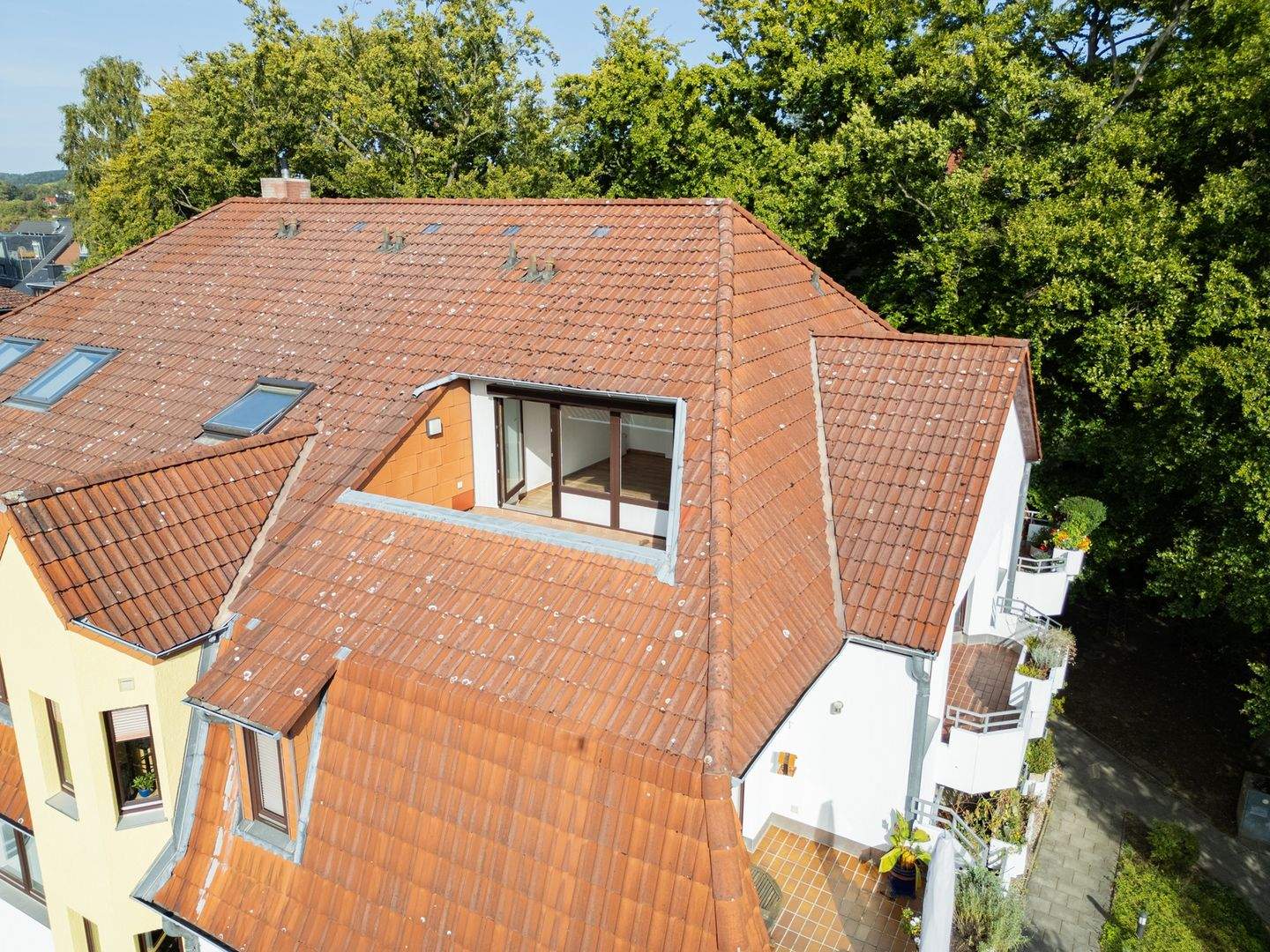 Bild 7