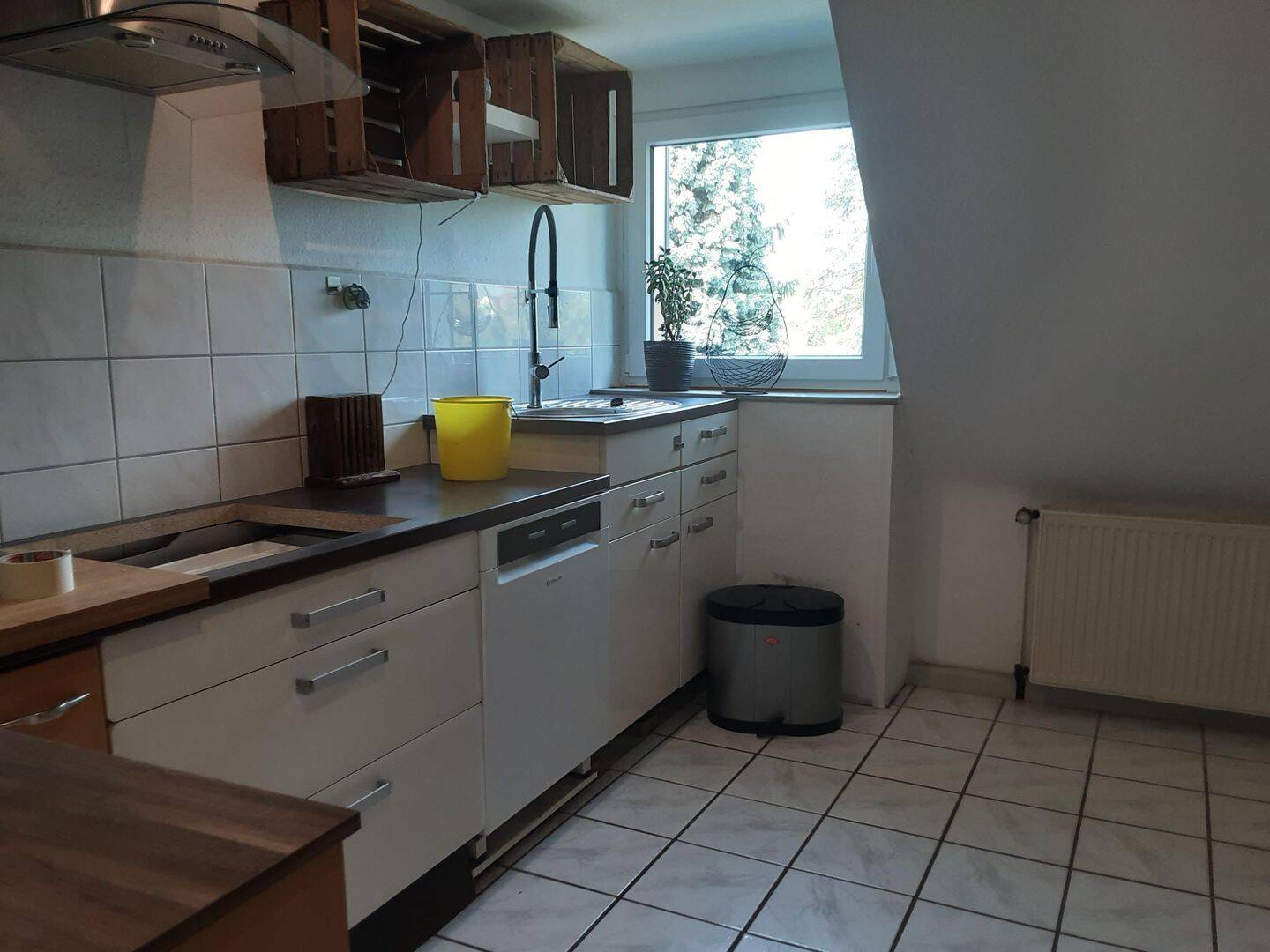 Bild 19