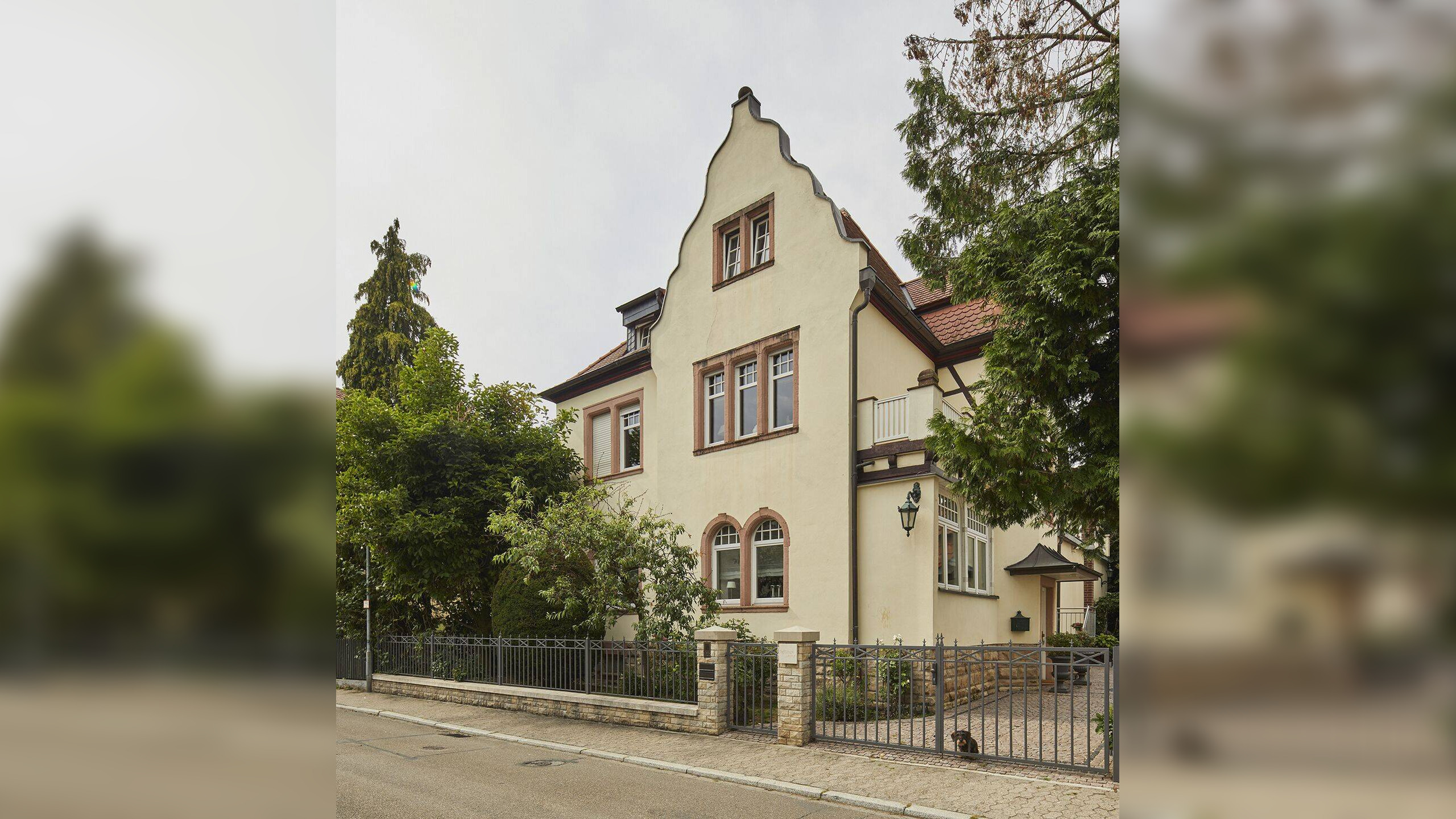 Bild 11