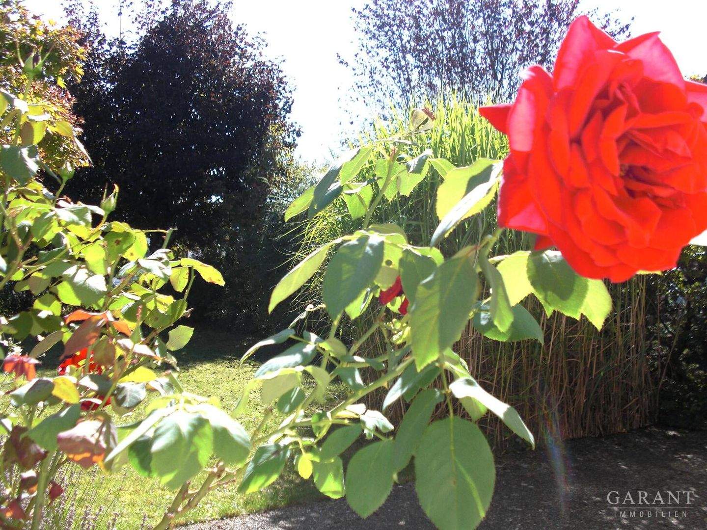 Bild 7