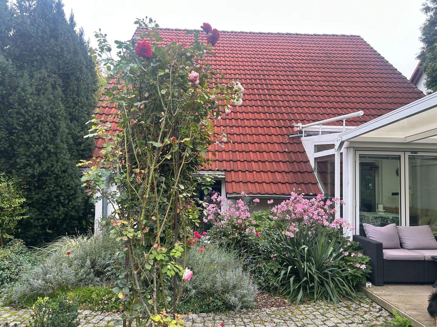 Bild 10