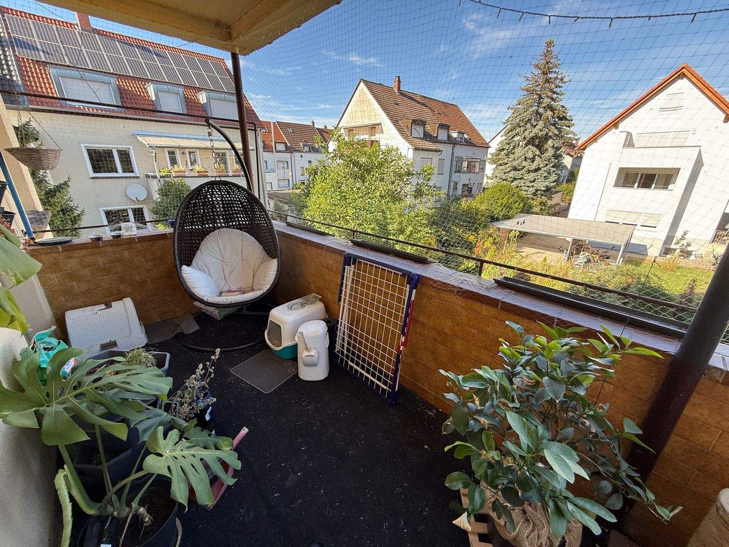 Bild 9