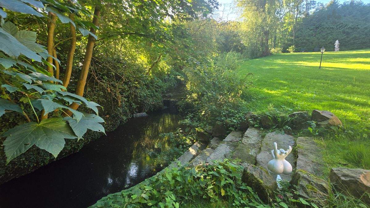 Bild 8