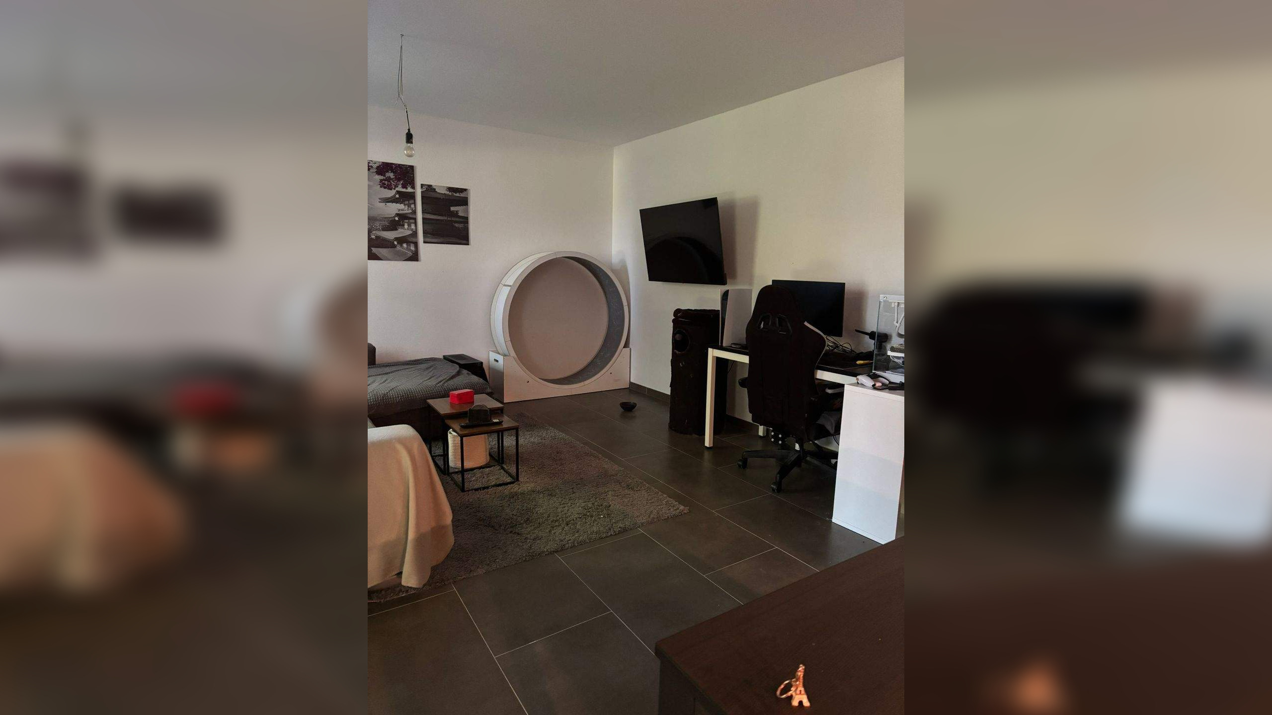 Bild 6