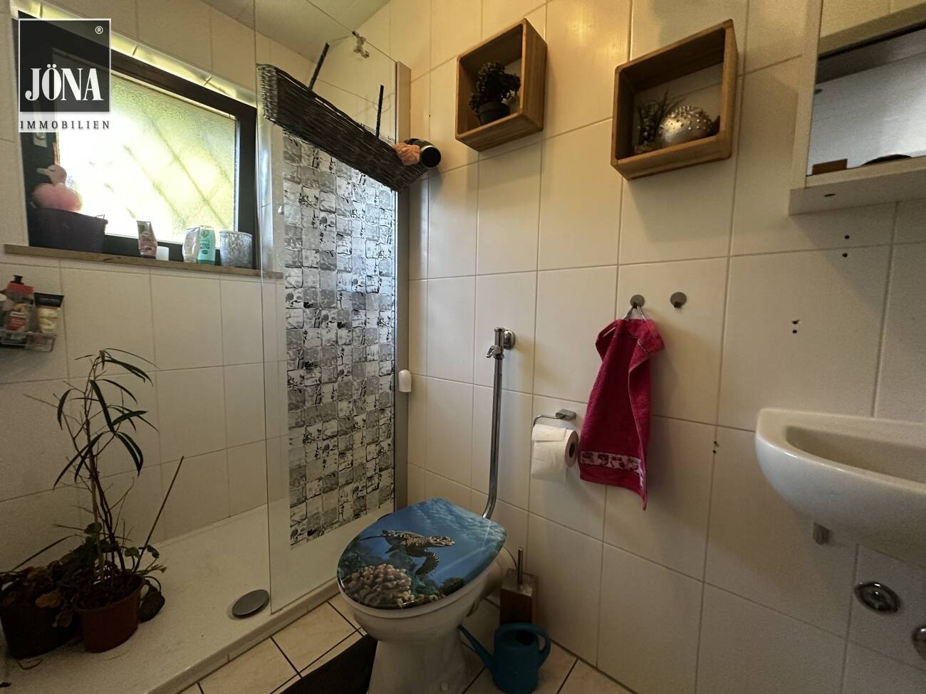 Bild 15