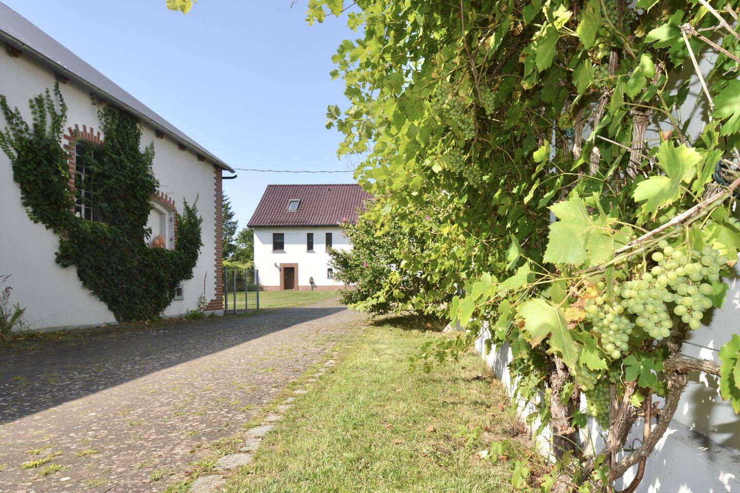 Bild 11