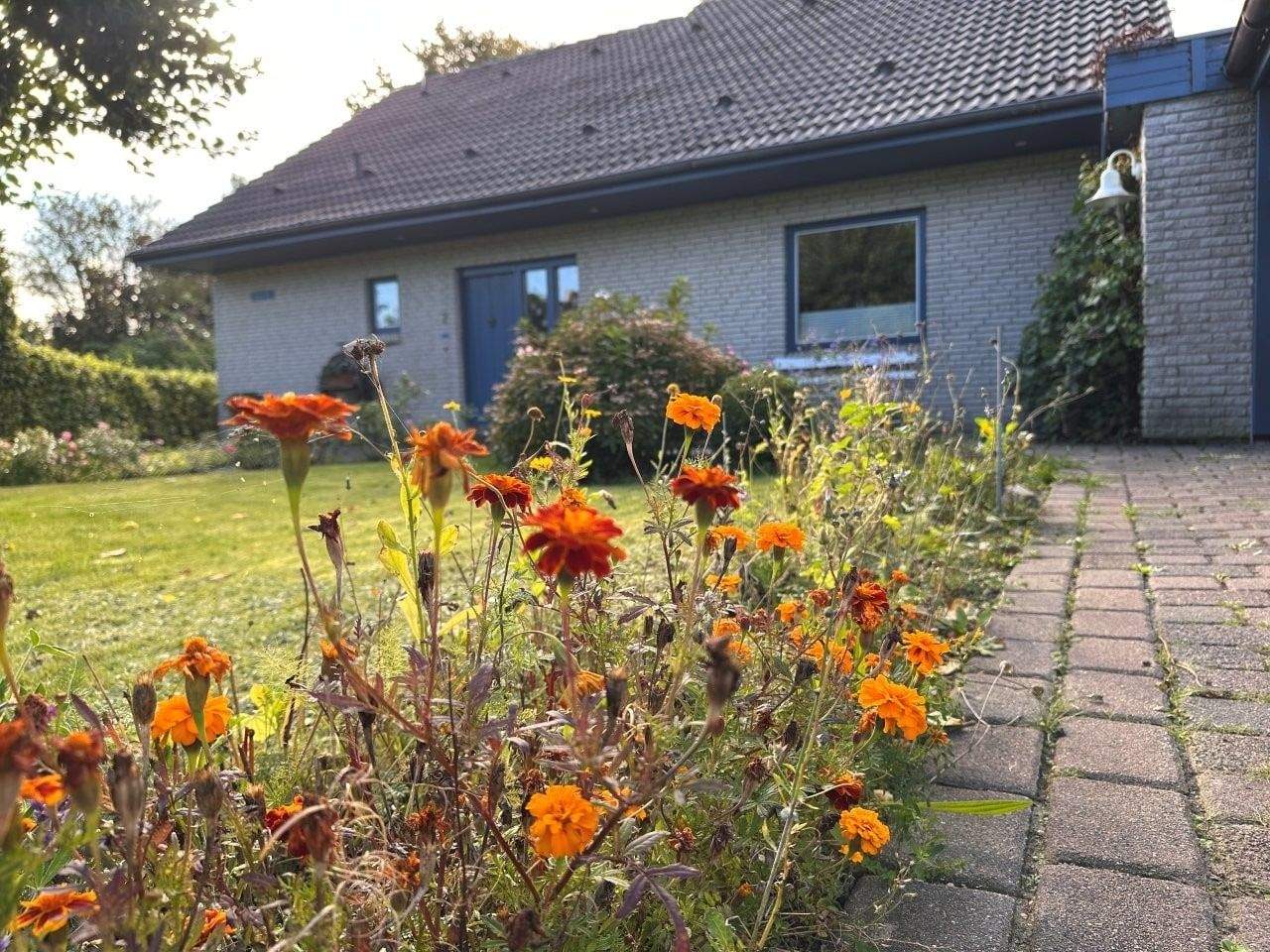 Bild 6