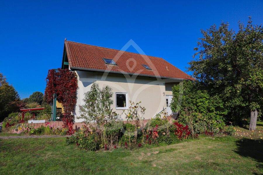 Bild 7