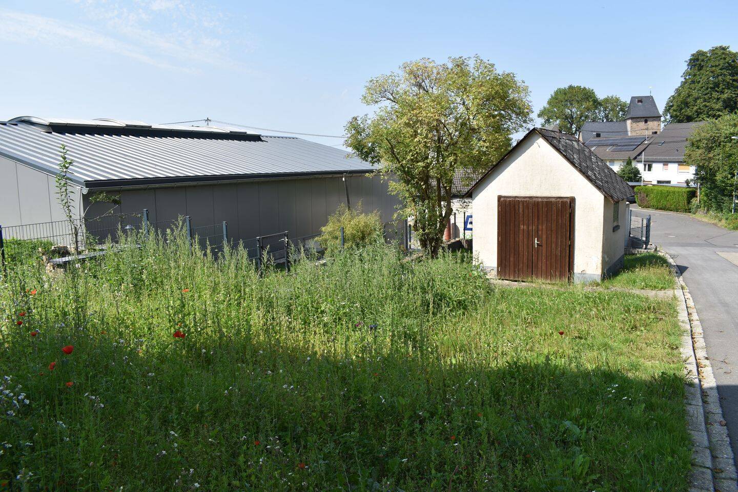 Bild 9
