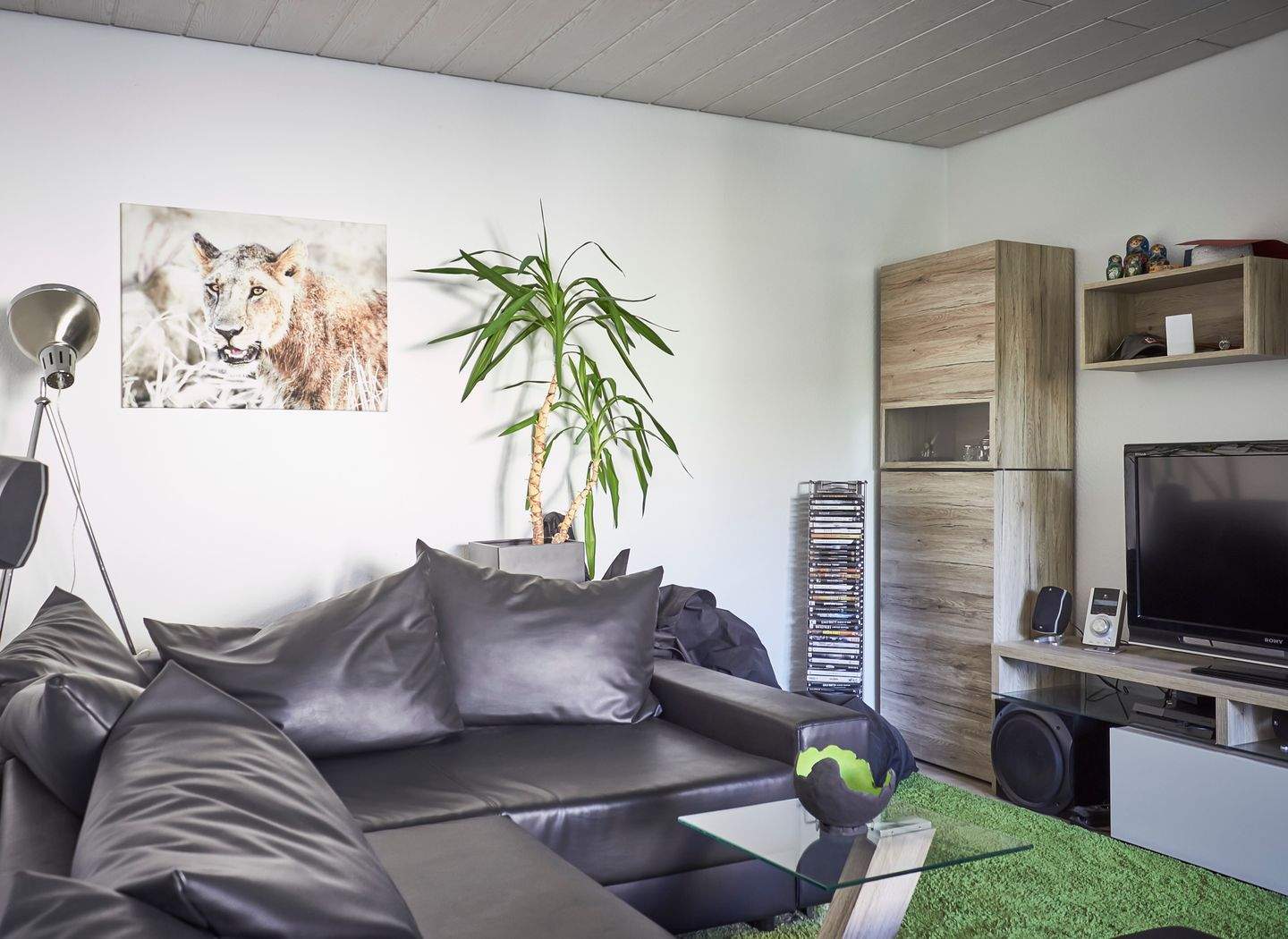 Bild 10