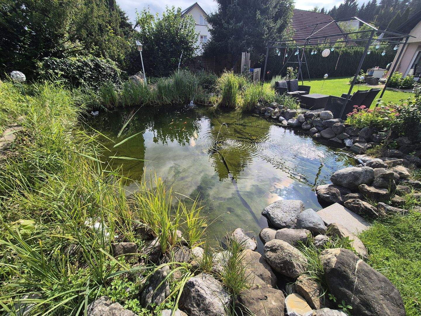 Bild 11