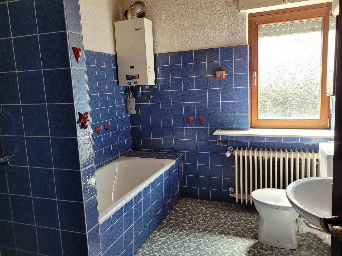 Bild 15