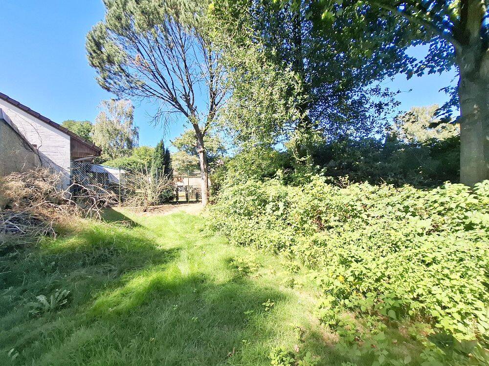 Bild 18