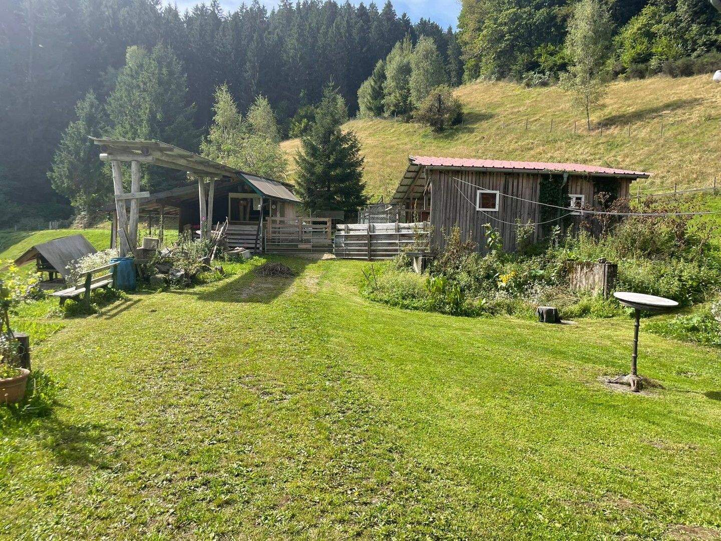 Bild 10