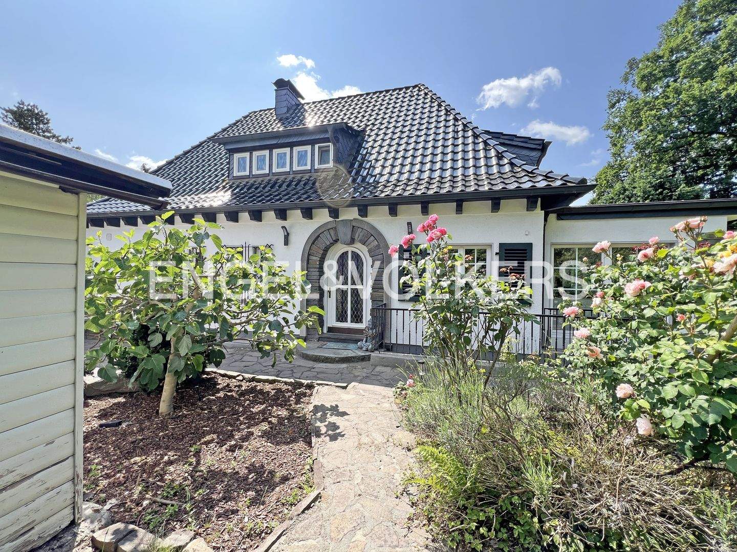 Bild 5