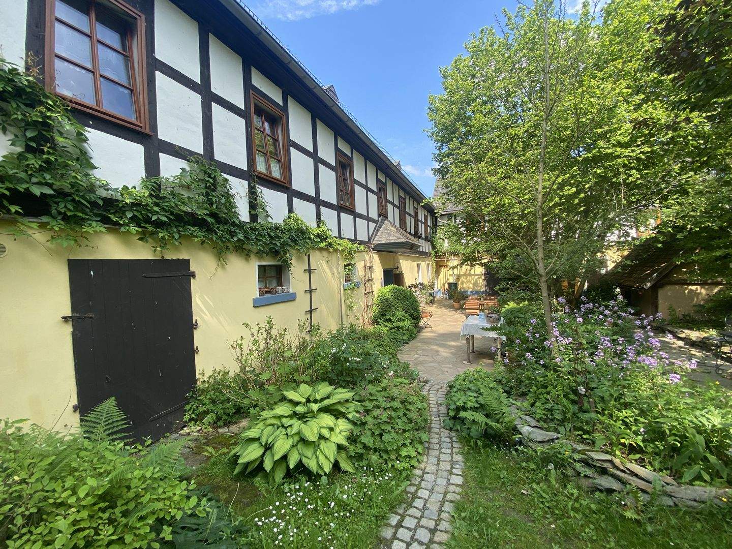 Bild 7