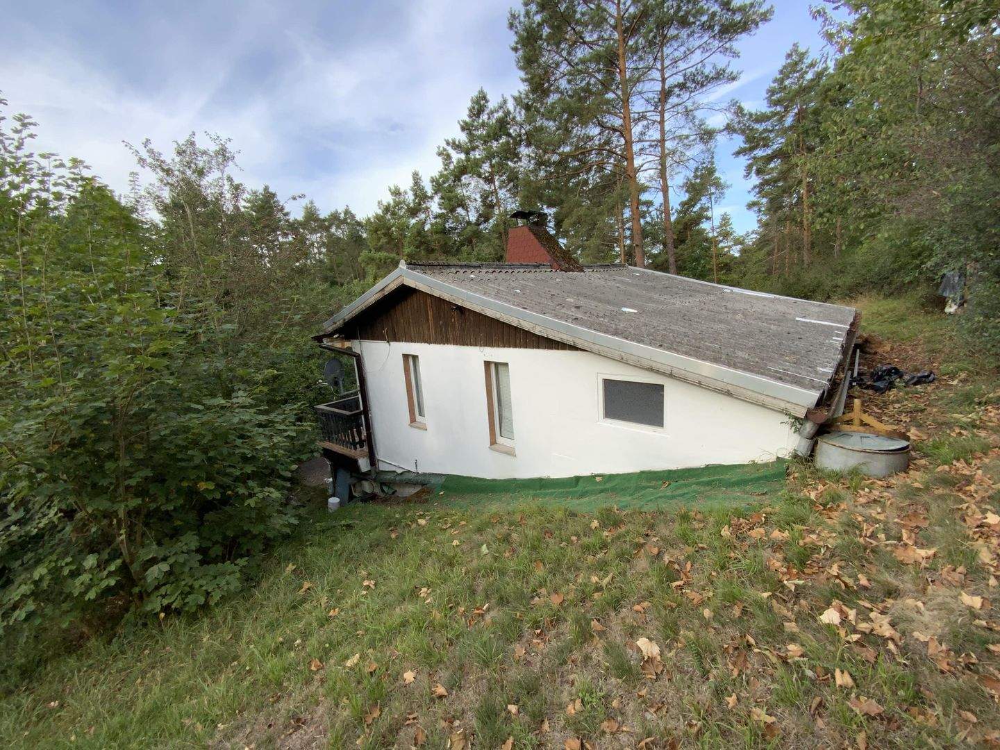 Bild 11