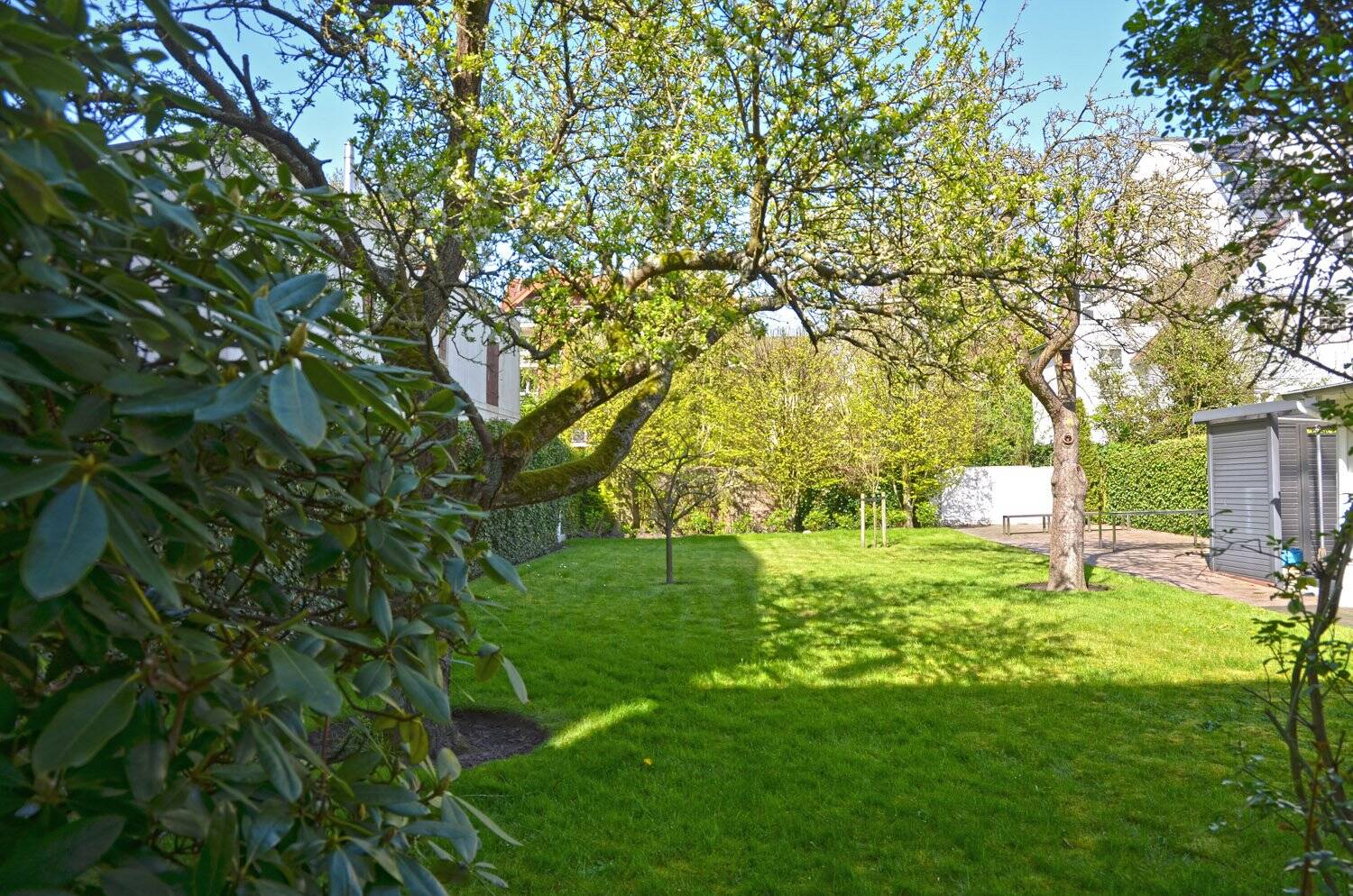 Bild 7