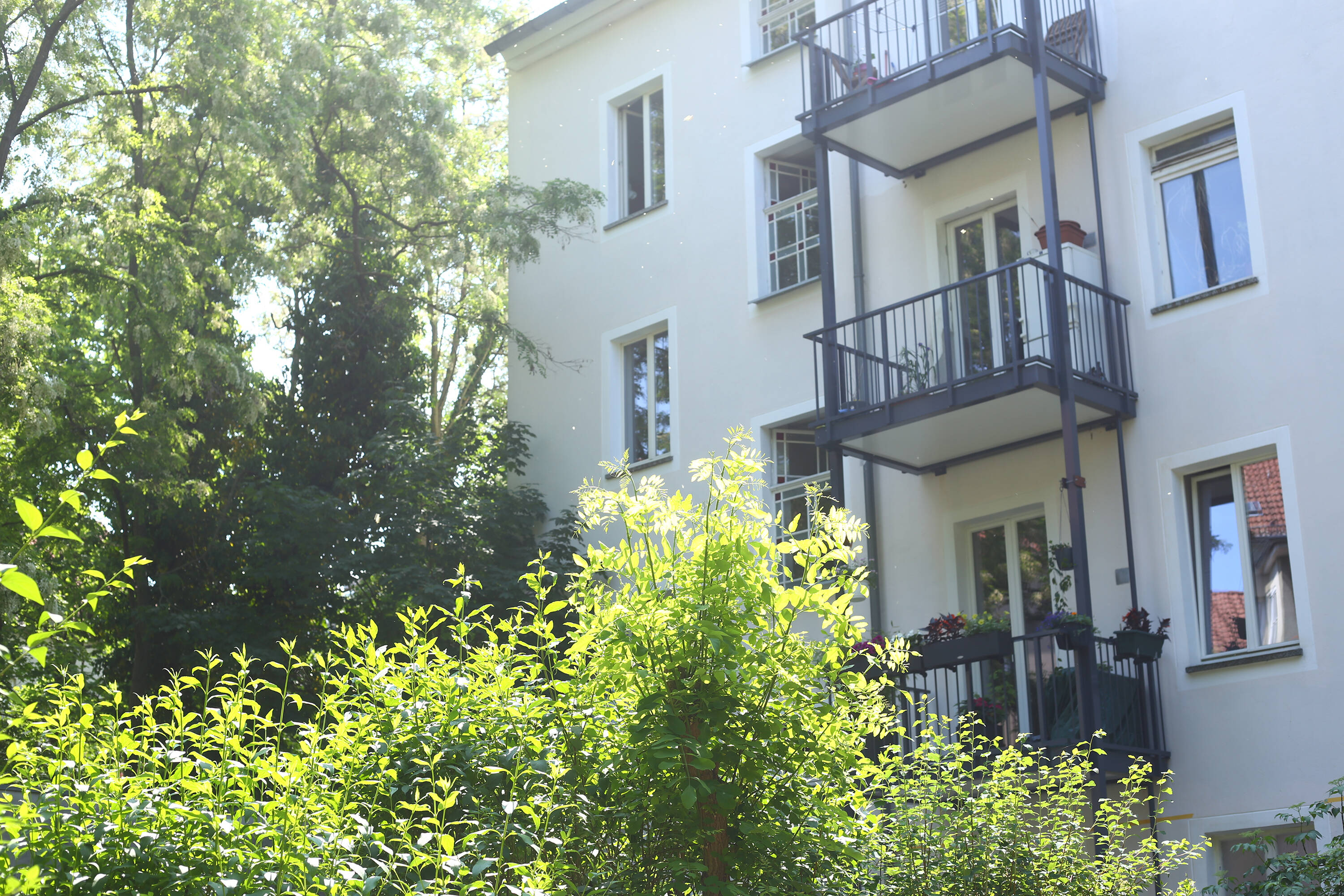 Bild 7