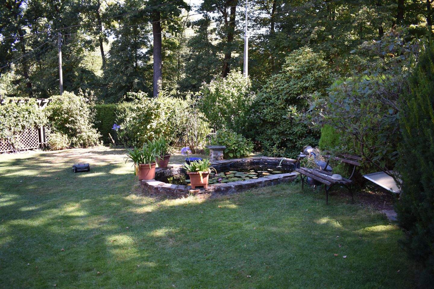 Bild 5