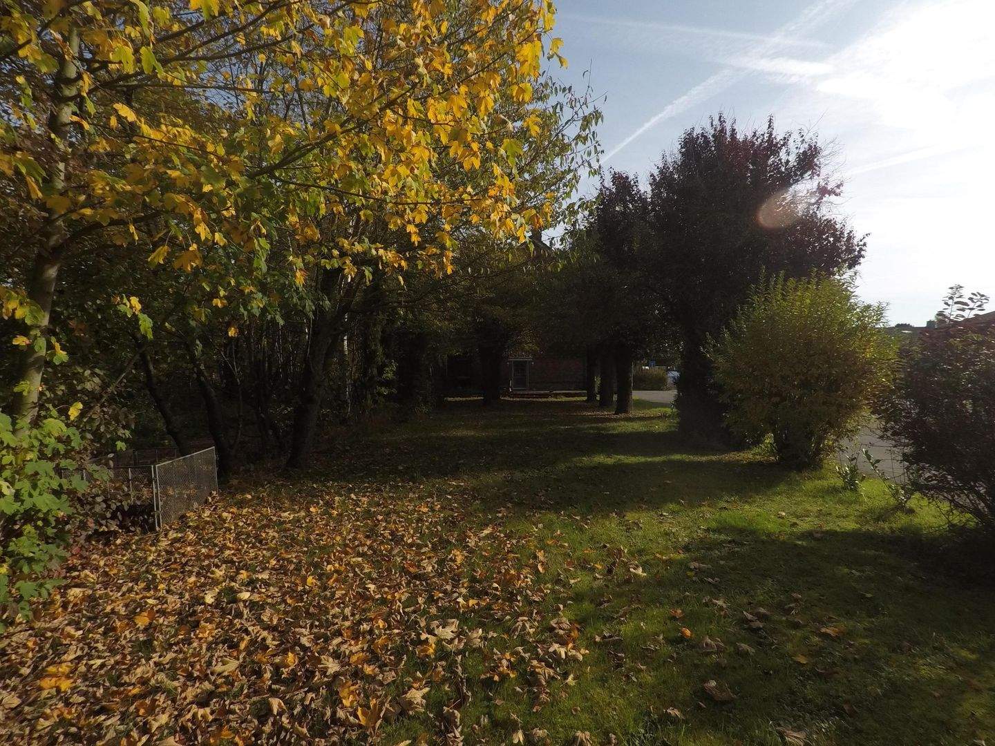 Bild 11