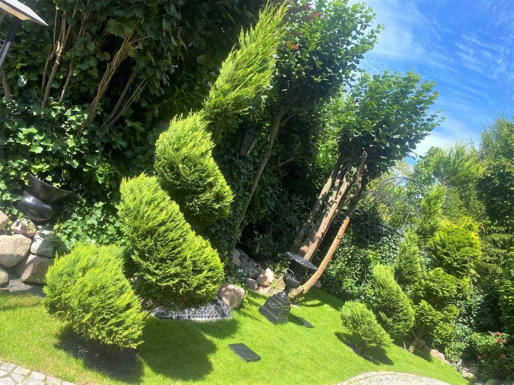 image-63942839