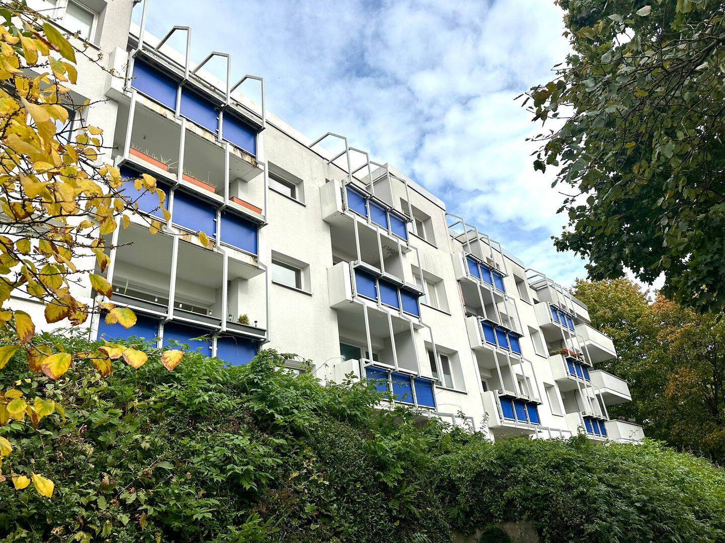 Bild 7