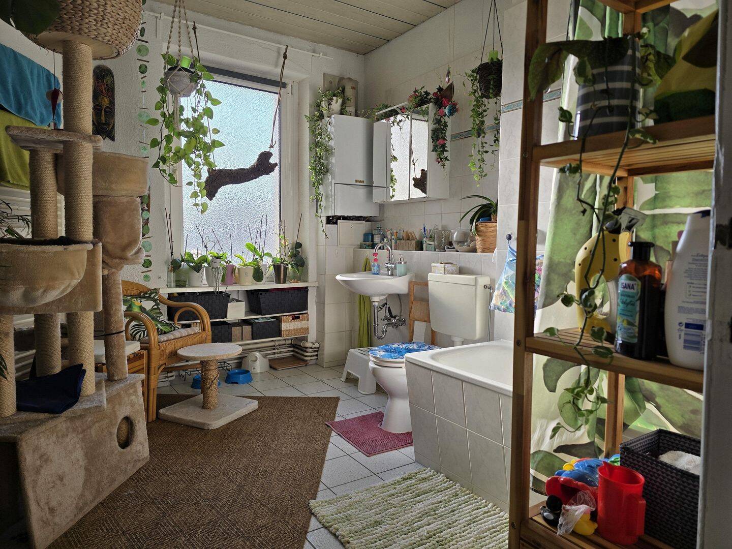 Bild 11