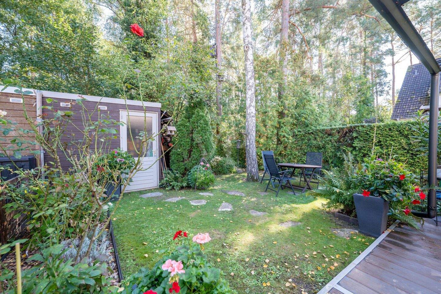 Bild 6