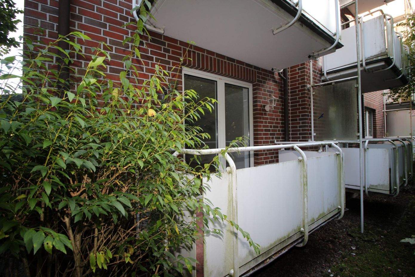 Bild 4