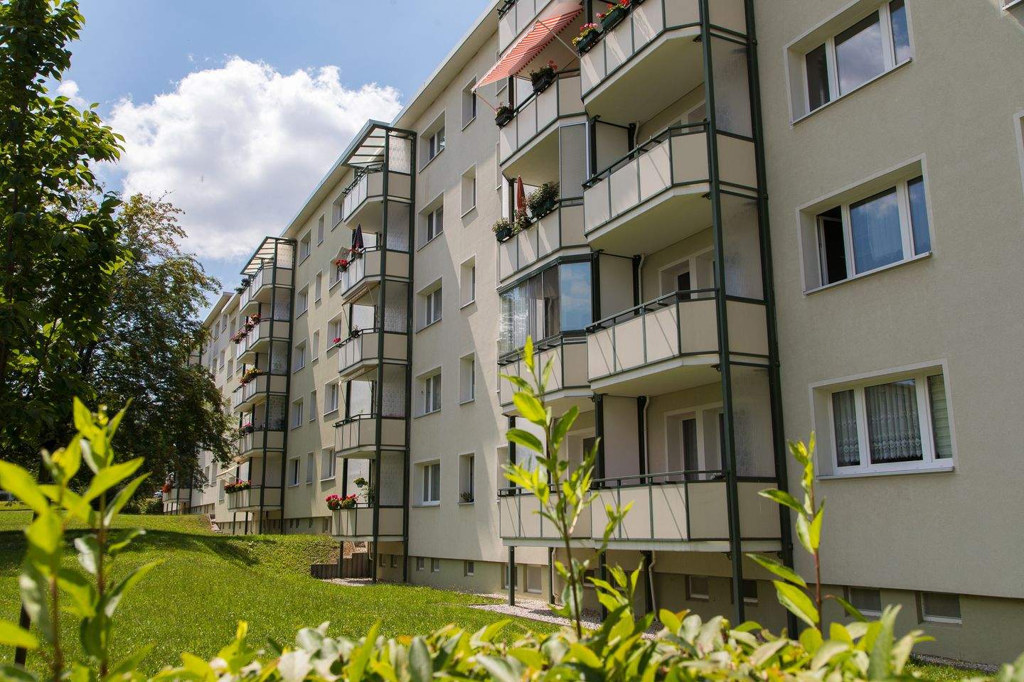 Bild 7