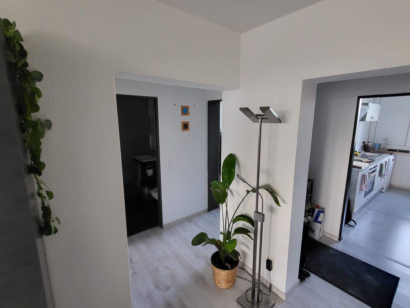 Bild 11