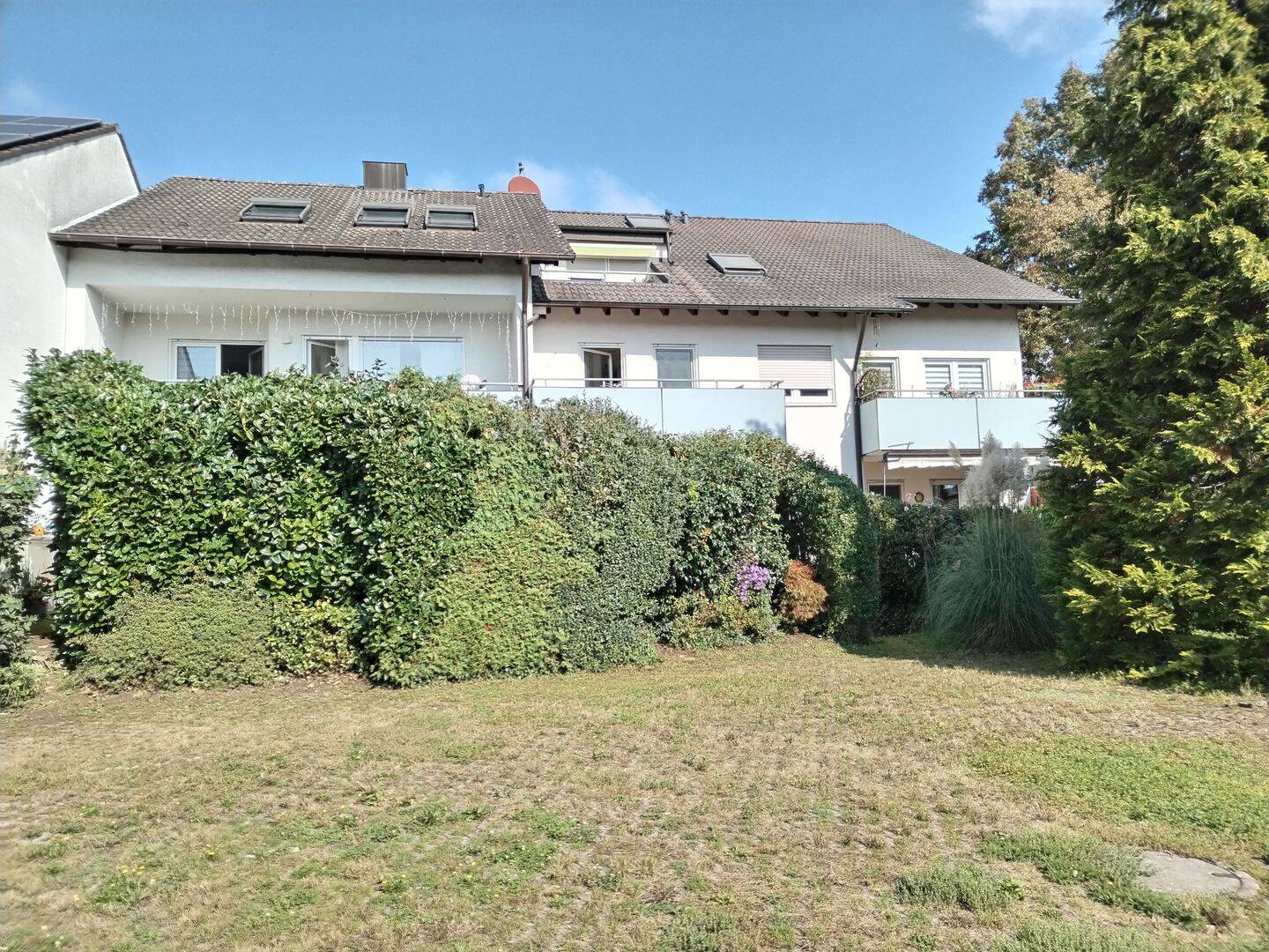 Bild 12