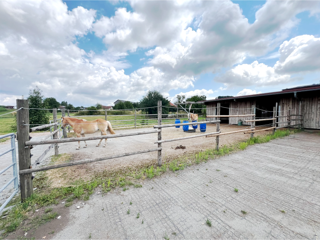 Bild 19