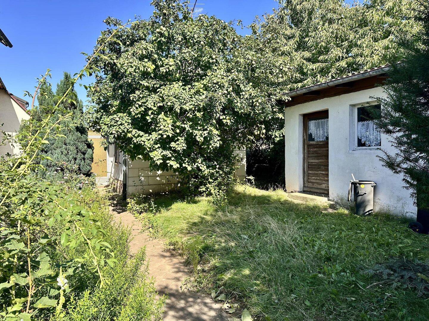 Bild 12