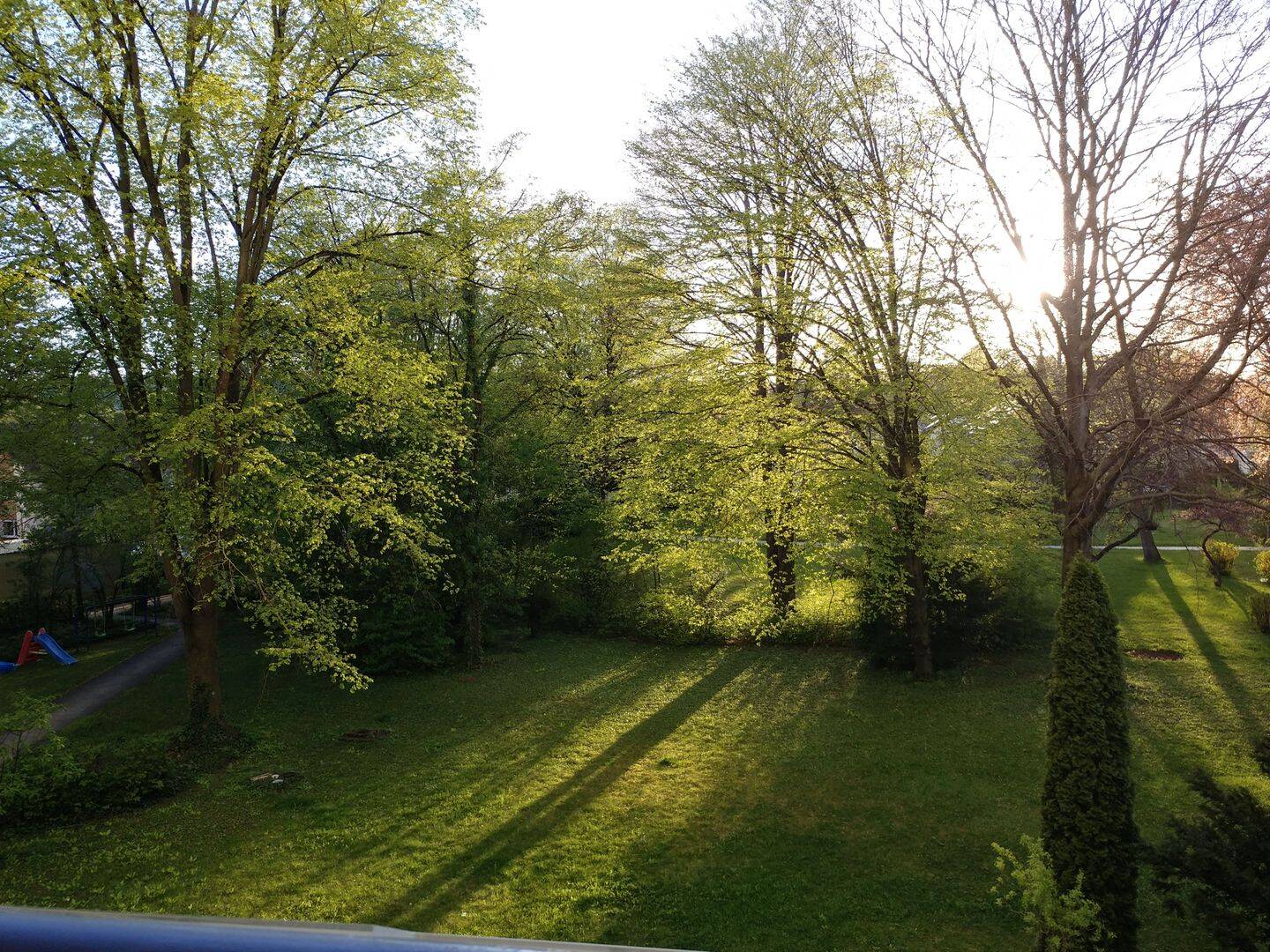 Bild 7