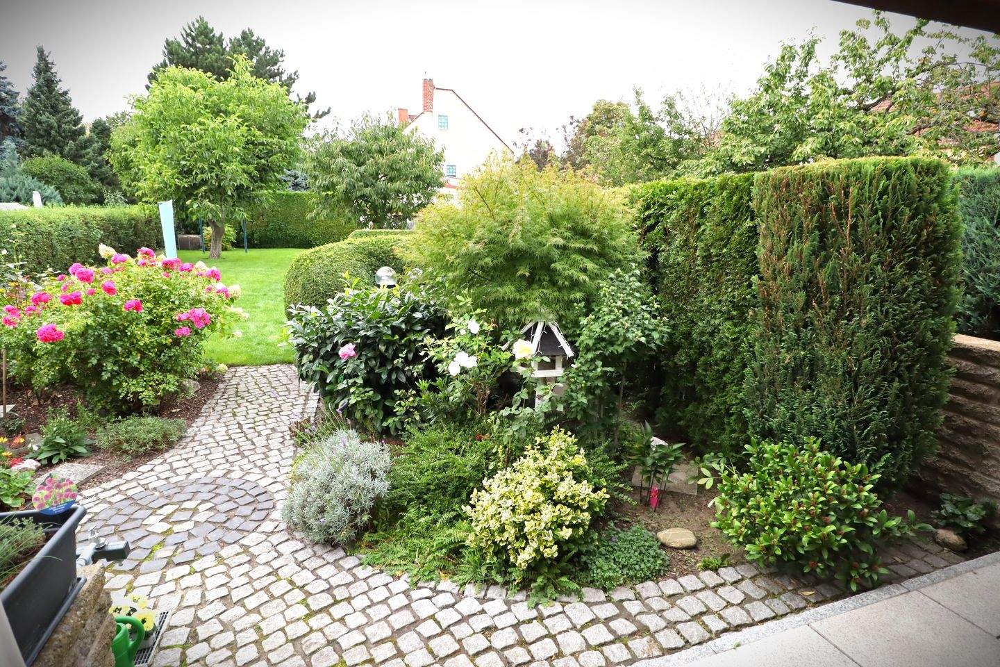 Bild 5