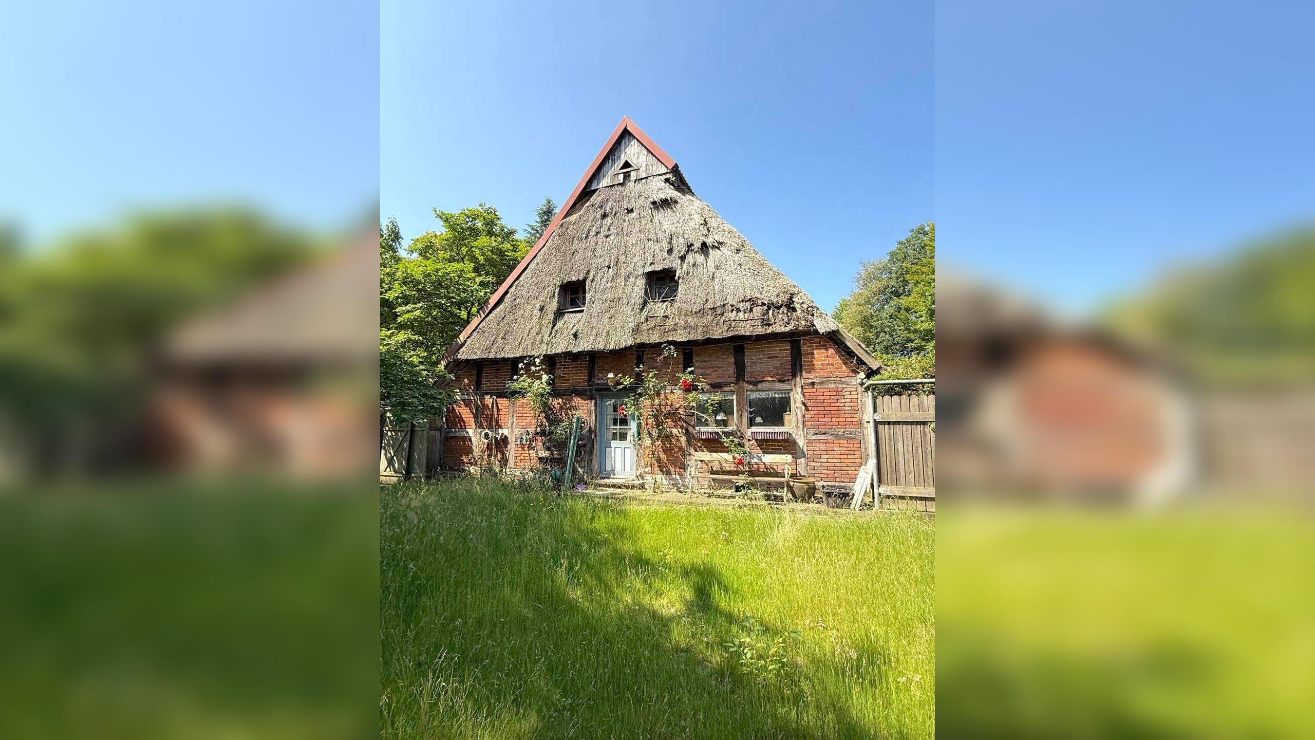 Bild 15