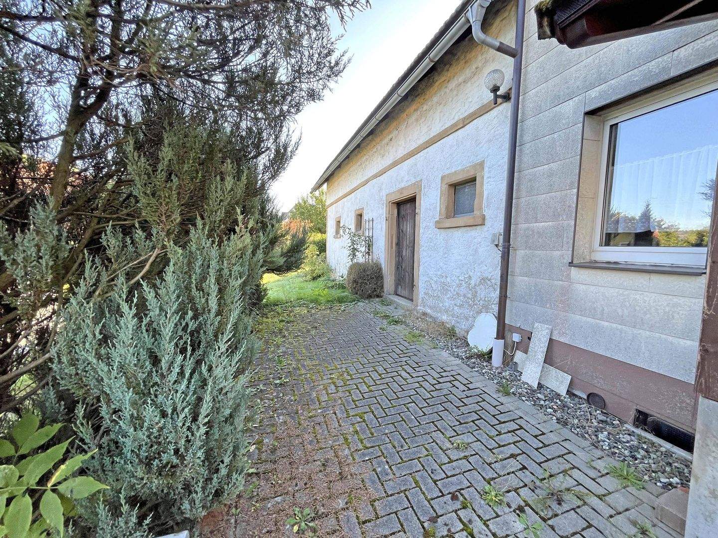 Bild 7