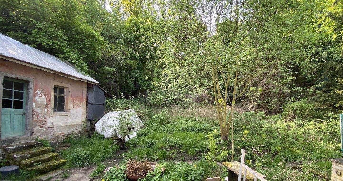 Bild 8