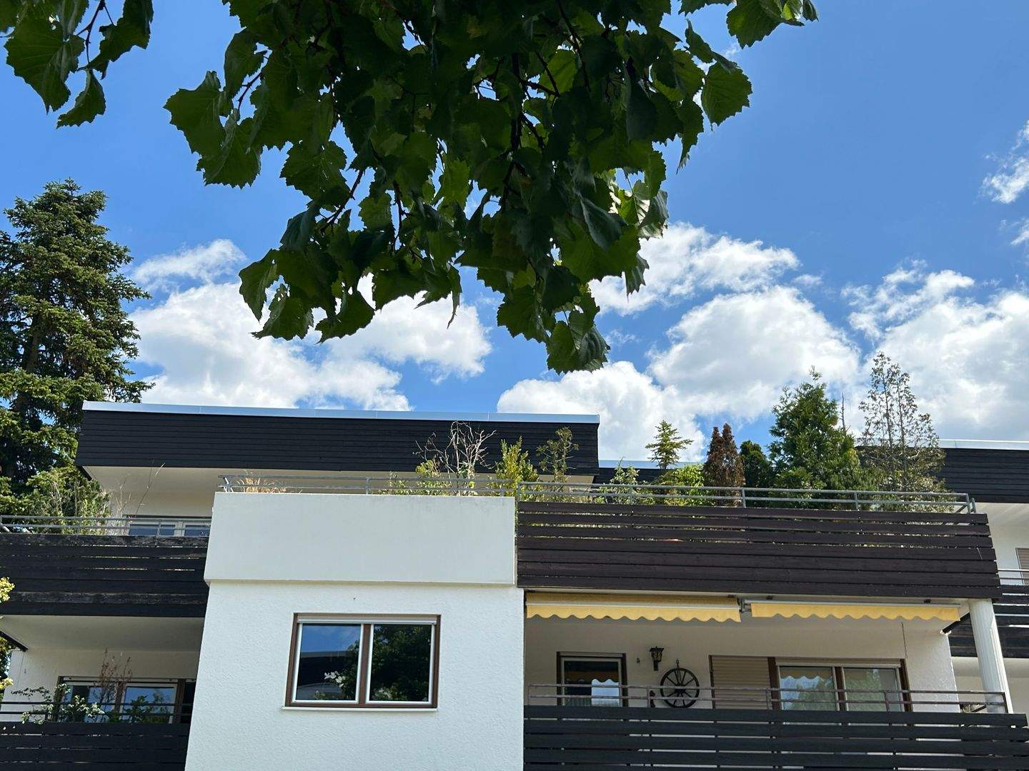 image-69570382