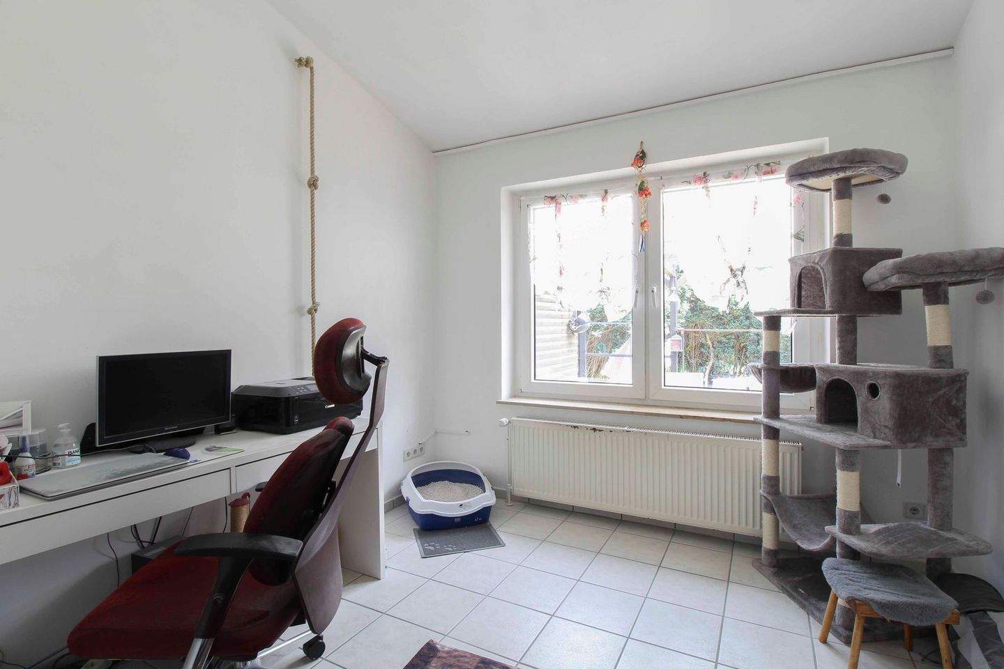 Bild 7